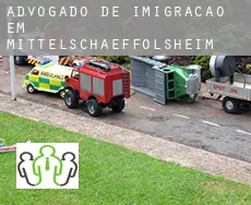 Advogado de imigração em  Mittelschaeffolsheim