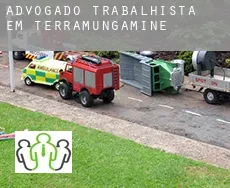 Advogado trabalhista em  Terramungamine