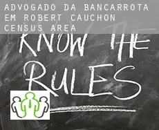 Advogado da bancarrota em  Robert-Cauchon (census area)