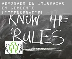 Advogado de imigração em  Gemeente Littenseradiel