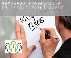 Advogado trabalhista em  Little Point Sable