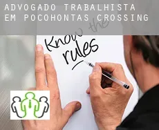 Advogado trabalhista em  Pocohontas Crossing