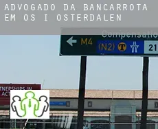 Advogado da bancarrota em  Os i Østerdalen