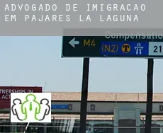 Advogado de imigração em  Pajares de la Laguna