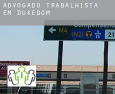 Advogado trabalhista em  Dukedom