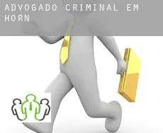 Advogado criminal em  Horn