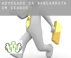 Advogado da bancarrota em  Seanor