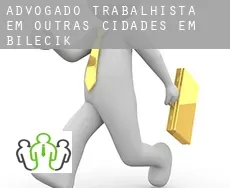Advogado trabalhista em  Outras cidades em Bilecik