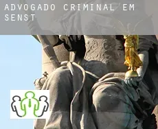 Advogado criminal em  Senst