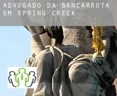 Advogado da bancarrota em  Spring Creek