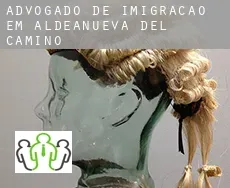 Advogado de imigração em  Aldeanueva del Camino