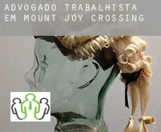 Advogado trabalhista em  Mount Joy Crossing