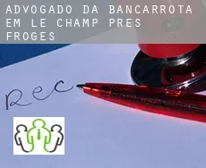 Advogado da bancarrota em  Le Champ-près-Froges
