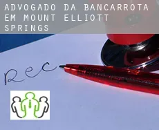 Advogado da bancarrota em  Mount Elliott Springs