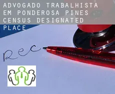Advogado trabalhista em  Ponderosa Pines
