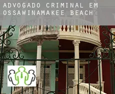 Advogado criminal em  Ossawinamakee Beach