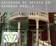 Advogado de defesa em  Harmony Knolls