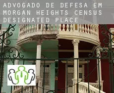 Advogado de defesa em  Morgan Heights