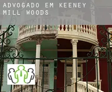 Advogado em  Keeney Mill Woods