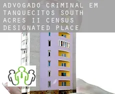 Advogado criminal em  Tanquecitos South Acres II