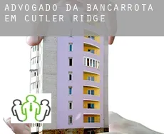 Advogado da bancarrota em  Cutler Ridge