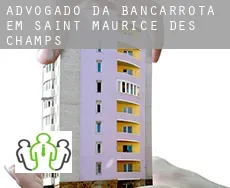 Advogado da bancarrota em Saint-Maurice-des-Champs