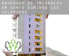 Advogado de imigração em Santo Domingo de los Colorados