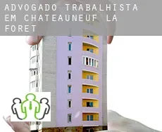 Advogado trabalhista em  Châteauneuf-la-Forêt