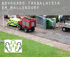 Advogado trabalhista em  Mallendorf