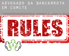 Advogado da bancarrota em  Comite