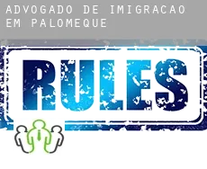 Advogado de imigração em Palomeque