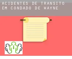 Acidentes de trânsito  em  Condado de Wayne