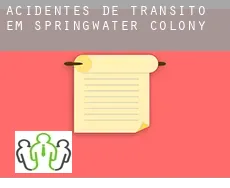 Acidentes de trânsito  em  Springwater Colony