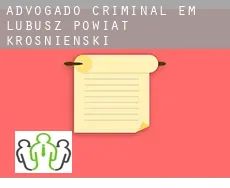 Advogado criminal em Powiat krośnieński (Lubusz)
