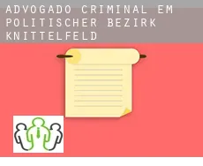 Advogado criminal em Politischer Bezirk Knittelfeld
