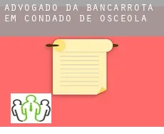 Advogado da bancarrota em  Condado de Osceola