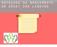 Advogado da bancarrota em  Great Oak Landing