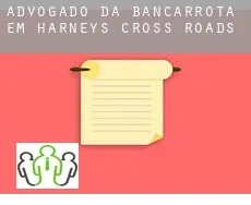 Advogado da bancarrota em  Harney’s Cross Roads