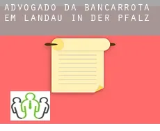 Advogado da bancarrota em  Landau in der Pfalz Stadt