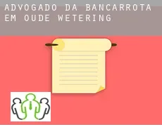 Advogado da bancarrota em  Oude Wetering