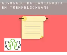 Advogado da bancarrota em  Tremmelschwang