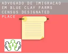 Advogado de imigração em  Blue Clay Farms