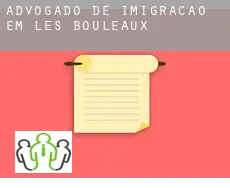 Advogado de imigração em  Les Bouleaux