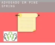 Advogado em  Pine Spring