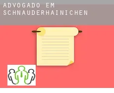 Advogado em  Schnauderhainichen