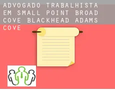 Advogado trabalhista em  Small Point-Broad Cove-Blackhead-Adams Cove