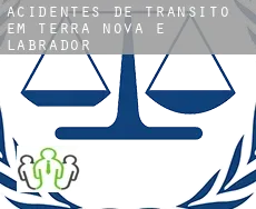 Acidentes de trânsito  em  Terra Nova e Labrador