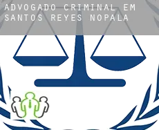 Advogado criminal em  Santos Reyes Nopala