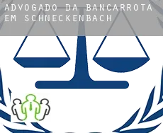 Advogado da bancarrota em Schneckenbach
