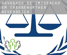 Advogado de imigração em  Trennewurther Neuendeich